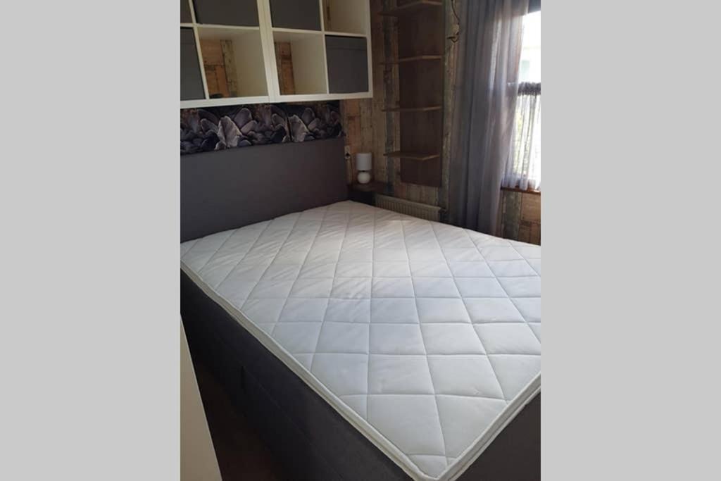 Stuyvesanthof Scheldeoord Chalet 710 Baarland Εξωτερικό φωτογραφία